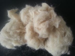 Wools Waste