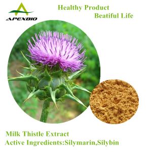 Milk Thistle Standardized Extract with 80% Silymarin,Silybin,Water Soluble Milk Thistle Extract