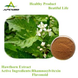 Hawthorn Extract,Hawthorn Leaf Extract,Hawthorn flavonoids,hawthorn berry extract,2%Vitexin