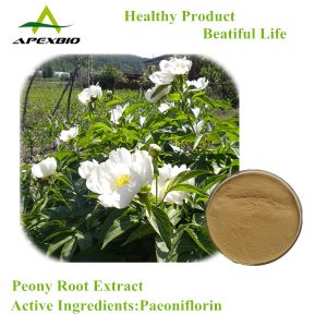 Chinese Herb White Peony Root Extract,Paeoniflorin8%-98%,HPLC