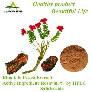 Natural Rhodiola Rosea Extract,Rhodiola Extract,Rosavin3%,Salidroside,Rhodioloside