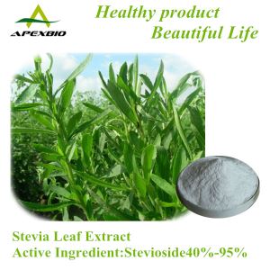 Stevia Leaf Extract,Stevioside hplc, Top Sweetener Rebaudioside a 95,RA40%-97%