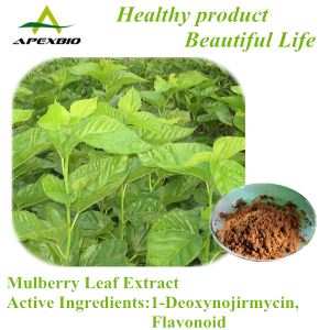1% 2% DNJ Mulberry Leaf Extract ,20% Total flavonoids,MulberryFruit Extract Powder