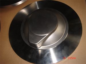 Stainless Steel Special Forging Parts