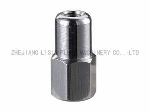 H17 Clamp Bolt Nuts