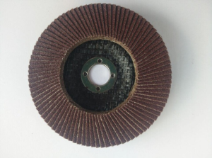 Good Quality Abrasive Flap Discs With Tools