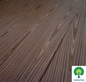 High Quality Fancy Plywood for Furniture and Decoration