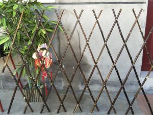Bamboo Expandable Fence