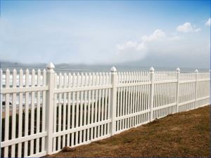 Palisades Fence(FT-P09)
