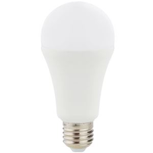 A60 SMD LED Bulb