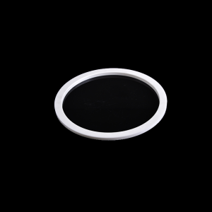 Ceramic O Ring