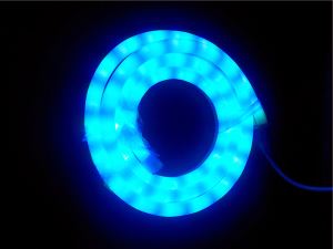 Mini Size SMD2835 220V LED Flex Neon Blue