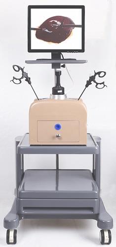 Laparoscopy Simulator
