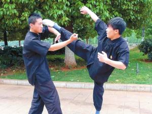 Wing Chun Forms