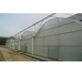 Multi Span Film Greenhouse