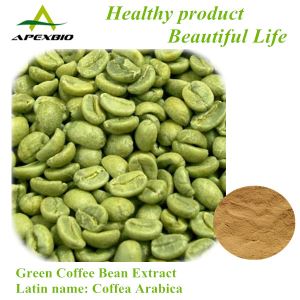 Green Coffee Bean Extract,Chlorogenic acid 50%