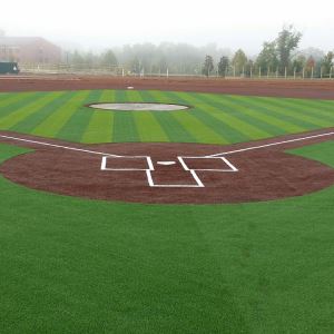 Sports Artificial Grass for Baseball