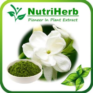 Natural Gardenia Green,Gardenia Green Pigment,Gardenia Green Color,Green Gardenia,Gardenia Powder