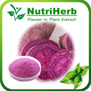 Natural Purple Sweet Potato Powder,Purple Sweet Potato Color,Purple Sweet Potato Pigment,Purple Sweet Potato Red Color
