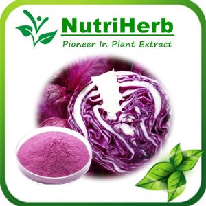 Natural Red Cabbage Color,Red Cabbage Juice Powder,Red Cabbage Pigment,Red Cabbage Food Color,Red Cabbage Color Powder