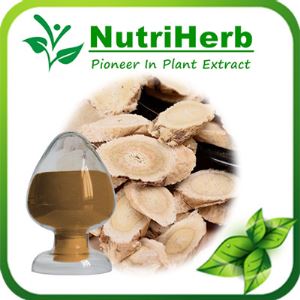 Natural Angelica Sinensis Extract,Dong Quai Extract ,Ligustilide,Chinese Angelica Extrat Powder