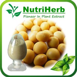 Organic Soy Bean Extract,Soy Isolate Protein,Isolated Soy Protein,Soy Protein Isolate