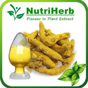Natural Turmeric Root Extract ,Curcumin,Curcuminoids,Curcumin Powder
