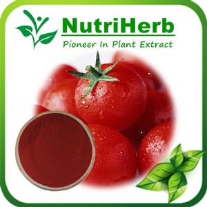 Natural Tomato Extract,Lycopene,Lycopene Powder, Lycoypene