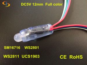 12mm Full Color RGB LED Pixel Light String