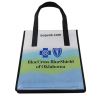 Non Woven Laminated Shopping Tote Bag With Custom Size