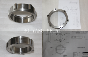 Special-shaped Flange Processing Customization