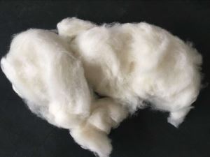 Fine Lamb Sheep Wool