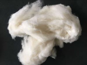 17.5 /18 Mic Quality Fine Lamb Sheep Wool