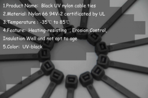 Black UV Nylon Cable Ties