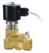 12V 24V DC Electric Brass Solenoid Valve Water Gas Air Normally Closed 24 VOLT DC