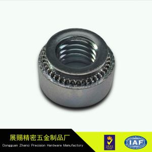 Self-Clinching Nut Stainless Steel Factory Price