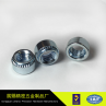 Non Standard Carbon Steel Zinc Plated Self Clinching Nut