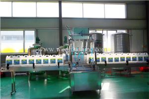 2017 China automatic lotion filling machine,capping machine,labeling machine7