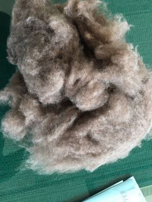 Chinese Carded Wool With Low Purities