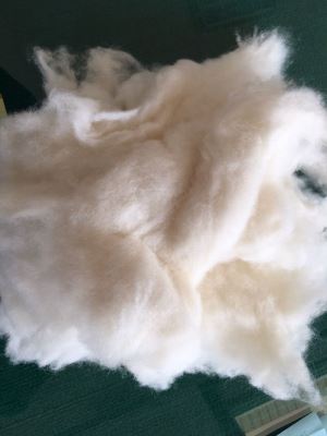 Lowest P.P. Content Carded Wool From Xincui