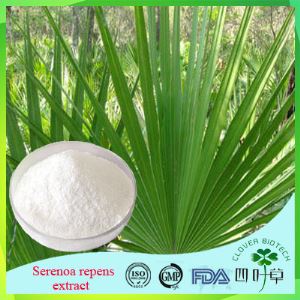 High Quality Organic Serenoa Repens Extract