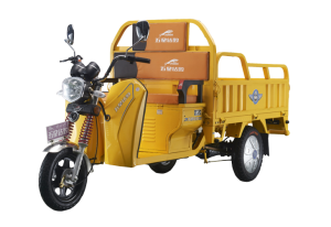 Jinba Cargo Tricycle
