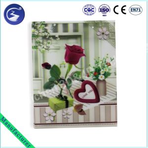 Popular Fashional Eco-friendly 3D PP Lenticular Gift Wrapping Bag