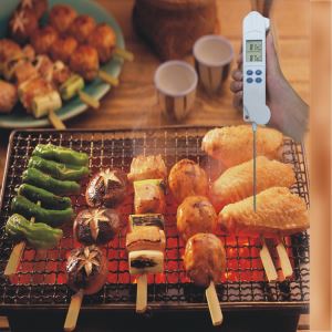 Barbecue Roast Probe Meat Thermometer