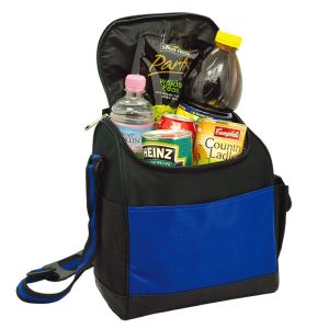 Outdoor Eco Friendly Cooler Bag