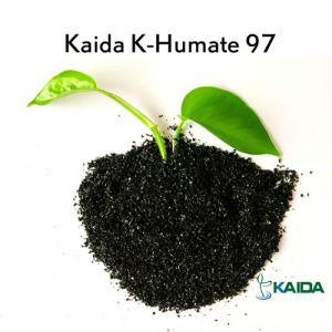 High Quality K Humate Water Solubility 100% And 80% Humic Acid Powder