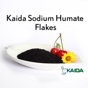 Water Soluble Plant Growth Regulator Sodium Humate Shiny Fakes /Organic Fertilizer Sodium Humate