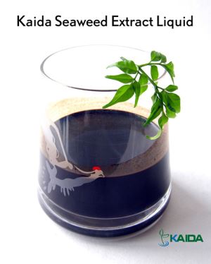 Liquid Seaweed Extract Fertilizer From Liquid Kelp Fertilizer
