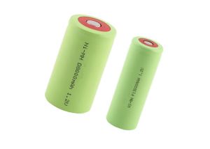D /F NiMH Rechargeable Batteries
