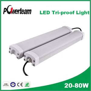 LED Tri-proof Light